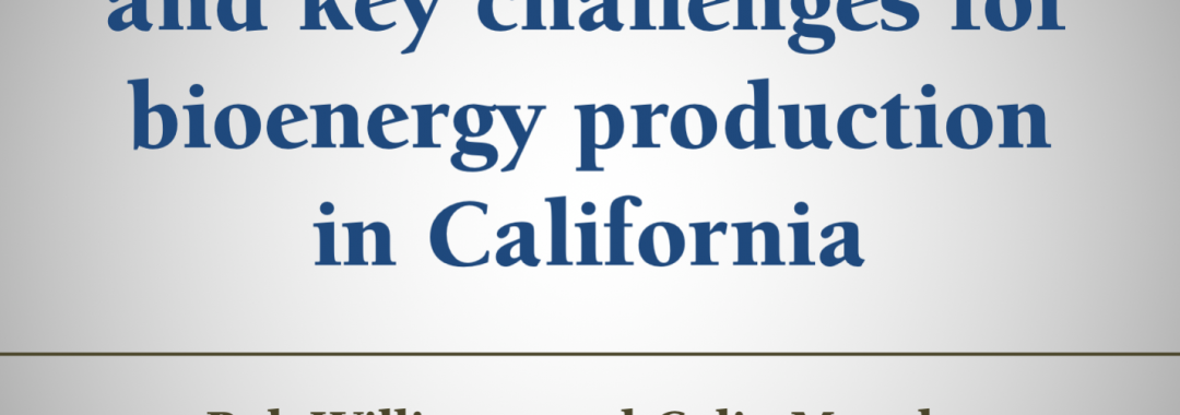 Technologies and Key Challenges for Bioenergy Production in California
